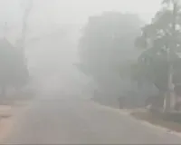 UP : ठंड और कोहरे की गिरफ्त में यूपी, कल बंद रहेंगे स्कूल