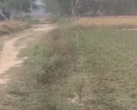 लखनऊ : खेतों की मिट्टी बीमार, नाइट्रोजन, कार्बन और सल्फर की मात्रा मिली कम 