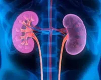 गुर्दा प्रत्यारोपण :  सुअर के गुर्दे से मनुष्य का जीवन बचाने की तैयारी, शोध जारी 