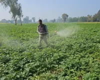 गांव-गांव उर्वरकों की निगरानी करेगी 'धरती माता बचाओ' समिति, रासायनिक खाद के दुरुपयोग पर लगेगी कड़ी लगाम