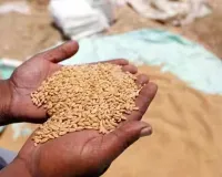 क्रय केंद्र प्रभारी ही कर देंगे किसानों की उपज का सत्यापन, नहीं लगाने पड़ेंगे तहसील के चक्कर, जानें नियम