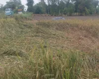 बाराबंकी : तेज हवा संग बेमौसम बारिश से किसानों की मेहनत पर फिरा पानी