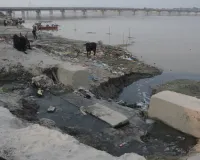 कानपुर : माघ मेला के पहले गंगा नदी को मैला कर रहे नाले, बायोरेमेडिएशन के नाम पर खानापूर्ति