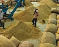 UP News:  पूर्वी यूपी में आज से होगी धान खरीद, 28 फरवरी तक चलेगा अभियान