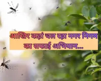 आखिर कहां चल रहा नगर निगम का सफाई अभियान... मच्छरों के डंक बढ़ा रहे शहर के लोगों की परेशानी