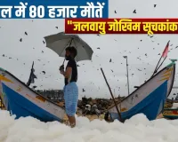  Climate disaster: 30 साल में भारत में 80,000 लोग मरे, 170 अरब डॉलर का हुआ नुकसान, नौवें स्थान पर खतरनाक रैंकिंग!