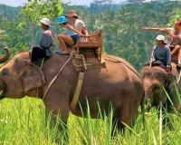 Good News: कर रहे हैं उत्तराखंड जाने की प्लानिंग... तो फिर शुरू हुई कॉर्बेट पार्क में हाथी सफारी और वॉच टावर की सुविधा 