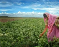 किसानों को लाभ दिलाने को भू-इंजीनियरिंग मॉडल पर तेजी से हो रहा काम, 15 दिनों के भीतर पेश होगी विस्तृत रिपोर्ट