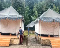 UP : इंतजार हुआ खत्म...पीटीआर में आज फ्री में उठा सकेंगे जंगल सफारी का मजा