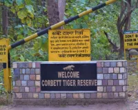  सुप्रीम कोर्ट का आदेश...धामी सरकार को करना होगा कॉर्बेट बाघ अभयारण्य में पेड़ कटाई से हुए नुकसान की भरपाई 