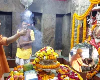 देवीपाटन मंदिर में CM योगी ने की मां पाटेश्वरी की आराधना, गायों को खिलाया चना और गुड़