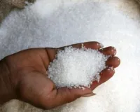 चीनी उत्पादन में महाराष्ट्र को पीछे छोड़ यूपी बना नंबर वन... हो सकती हैं 2 % की बढ़ोतरी, ISMA ने जारी की रिपोर्ट 