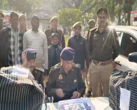 सुलतानपुर पुलिस ने 33 किग्रा गांजे के साथ तीन तस्करों को किया गिरफ्तार, दो कार व तीन लाख की नगदी बरामद