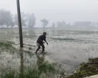 Barabanki News : सिंचाई विभाग की लापरवाही से सैकड़ों बीघा फसल जलमग्न, जानिए क्या बोले किसान