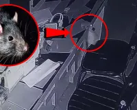 बदायूं : गायब हो रहे थे पर्चे, सीसीटीवी में पता चला ले जा रहा है चूहा