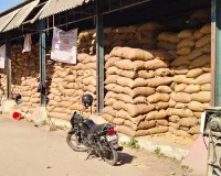 पीलीभीत: धान खरीद में खेल करने पर फंसे, समिति सचिव और क्रय केंद्र प्रभारी पर FIR