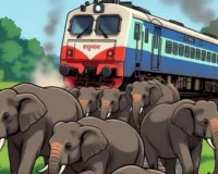 असम में हाथियों का झुंड से टकराई राजधानी एक्सप्रेस, इंजन समेत पांच डिब्बे पटरी से उतरे 