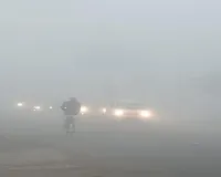 Moradabad: कोहरे की चादर में लिपटी रही सुबह, धूप ने दिन में दी राहत, शाम ढलते ही चलने लगी ठंडी हवा