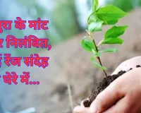 मथुरा के मांट रेंजर निलंबित, कई रेंज संदेह के घेरे में... पौधारोपण में लापरवाही और घोटाले की परतें खुलीं