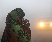 सिहर उठा उत्तर भारत! घने कोहरे और शीतलहर की चपेट में यूपी-बिहार, पंजाब-हरियाणा; कश्मीर में माइनस में पहुंचा पारा 