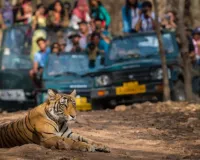 दुधवा नेशनल पार्क की सैर अब आसान और सस्ती: एक रात-दो दिन के 5 विशेष पैकेज लॉन्च