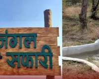 World Wildlife Conservation Day Special: यूपी की जंगल सफारी नंबर-1 बनने की राह पर! गैंडा-बाघ के साथ कमाई भी, जयवीर सिंह का मेगा प्लान