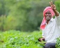 किसानों को मिली बड़ी राहतः फसल की 33% नुकसान पर भी मिलेगी पूरी राहत, पशु मौत पर 33,500 तक मदद