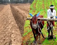 400 हेक्टेयर भूमि सुधारी, बढ़ेगा खेती का रकबा... भूमि संरक्षण विभाग ने आठ परियोजनाओं पर किया समतलीकरण