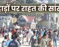 दिल्ली के जहरीले धुएं से भागकर पर्यटक पहुंचे कॉर्बेट: New Year Eve पर साफ हवा और जंगल की रौनक में मना उत्सव!