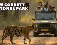 Jim Corbett National Park: नए साल के जश्न से पहले कॉर्बेट पार्क में हाई अलर्ट, वनकर्मियों की छुट्टियां रद्द 