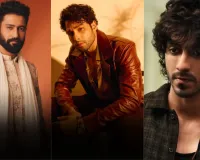 2025 में बॉलीवुड पर छाए ये सितारे: खान-कपूर नहीं, इनकी एक्टिंग ने मचाया धमाल
