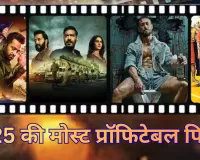 2025 का बॉक्स ऑफिस बादशाह: 'धुरंधर' ने मचाया धमाल, 648 करोड़ के साथ जवान को पछाड़ा, ये हैं साल की टॉप हिट्स और बड़े फ्लॉप्स