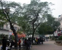 प्रदूषण कम दिखाने को आंकड़ेबाजी में लगा नगर निगम...जहां प्रदूषण मापक यंत्र लगे वहीं कर रहा पानी का छिड़काव