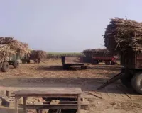 Moradabad:बिजनौर में 31 और मुरादाबाद में 17 मामले पकड़े, तौल लिपिकों के लाइसेंस निरस्त