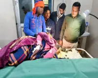 लखीमपुर खीरी: भाई के साथ बाइक से जा रही युवती पर तेंदुए ने हमला कर किया घायल