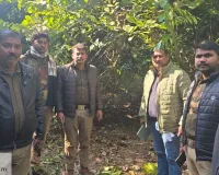 नेपाल सीमा से सटे गांव में तेंदुए का कहर:  पचपेड़वा में महिला पर हमला, मौके पर मौत