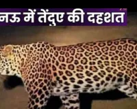  लखनऊ के रहमान खेड़ा तक तेंदुए की फैली दहशत:  पगचिह्नों ने बढ़ाई वन विभाग की चिंता...हुआ अलर्ट