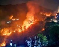 ठंड में भी धधके उत्तराखंड के जंगल,  आग से वन सम्पदा को भारी क्षति 