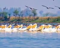 इनबाउंड टूरिज्म का नया केंद्र बनकर उभरेगा लखीमपुर खीरी, शारदा बैराज देगा विकास को गति 