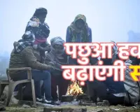 प्रदेश में गलन भरी पछुआ बढ़ा रही ठिठुरन:  IMD ने जारी किया अलर्ट, कई जिलों में कोहरे और सर्दी से जनजीवन प्रभावित