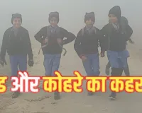  गोंडा में कोहरे का कहर... ठिठुरते हुए स्कूल पहुंचे नौनिहाल, पछुआ हवा के चलते बढ़ी सर्दी