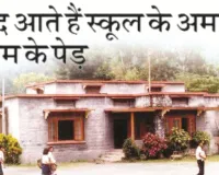 आपबीती:  याद आते हैं स्कूल के अमरूद-आम के पेड़