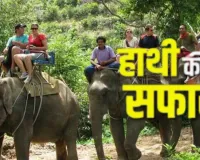   छह साल बाद हाथी सफारी की वापसी:  ढिकाला और बिजरानी जोन में रोमांचक सैर, उत्तराखंड हाईकोर्ट ने लगायी थी रोक 