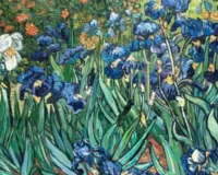 आर्ट गैलरी:  विंसेंट वान गॉग की पेंटिंग आइरिस