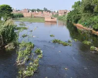 Bareilly : किला और नकटिया नदियों का संरक्षण बैठकों तक सीमित
