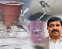  राष्ट्रीय पक्षी दिवस: पक्षियों की चहचहाहट से गूंज रहा डॉ. जावेद का घर-आंगन