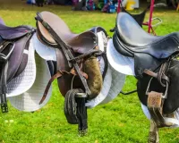 कानपुर : घुड़सवारी के उत्पादों का बढ़ा बाजार, 30 करोड़ का ऑर्डर मिलने की उम्मींद