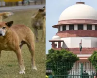 सुप्रीम कोर्ट ने आवारा कुत्तों के प्रबंधन मामले में सुनवाई 13 जनवरी तक टाली, कहा- मानवीय समाधान जरूरी 