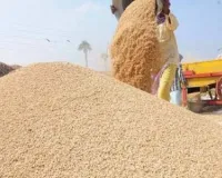 Bareilly : चार हजार किसानों के साथ चार करोड़ की लूट का आरोप