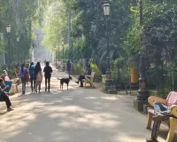 Bareilly: चटक धूप से चढ़ा पारा, दिन भर खुशनुमा रहा मौसम